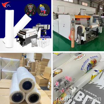 Rolls Printing Pet Film Transfer Film